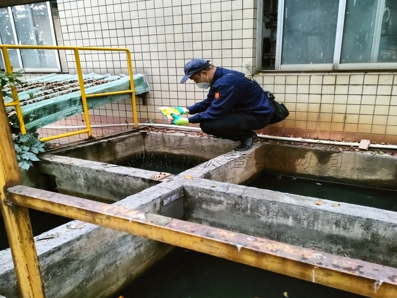 荔灣區白蟻防治,廣州荔灣白蟻防治,荔灣滅殺白蟻