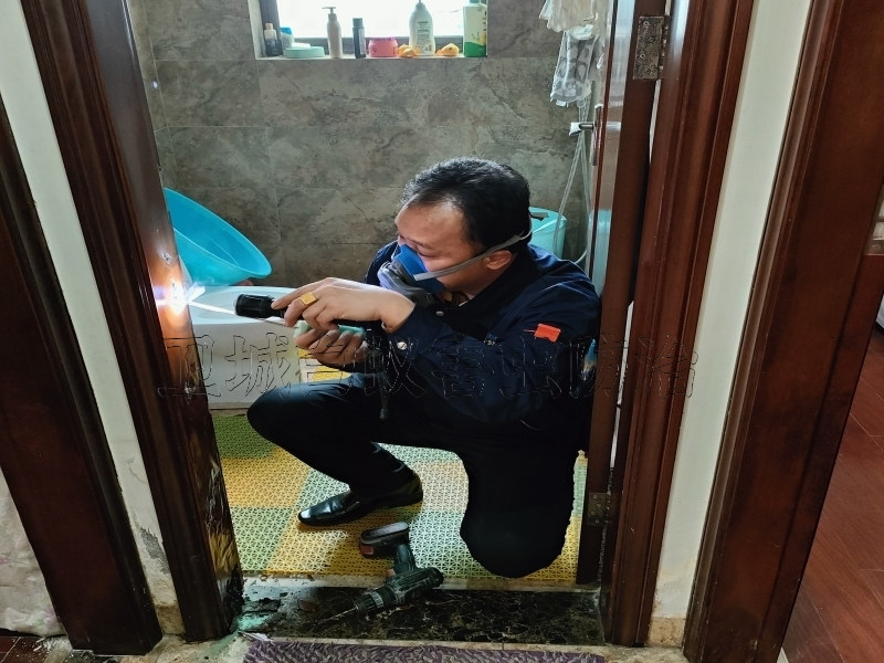 白鶴洞白蟻防治,專業荔灣區滅殺螞蟻白蟻,白鶴洞白蟻防治公司