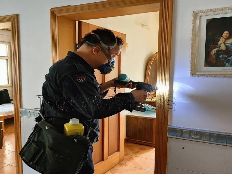荔灣沖口白蟻防治_廣州沖口白蟻防治滅殺白蟻服務質量有口皆碑