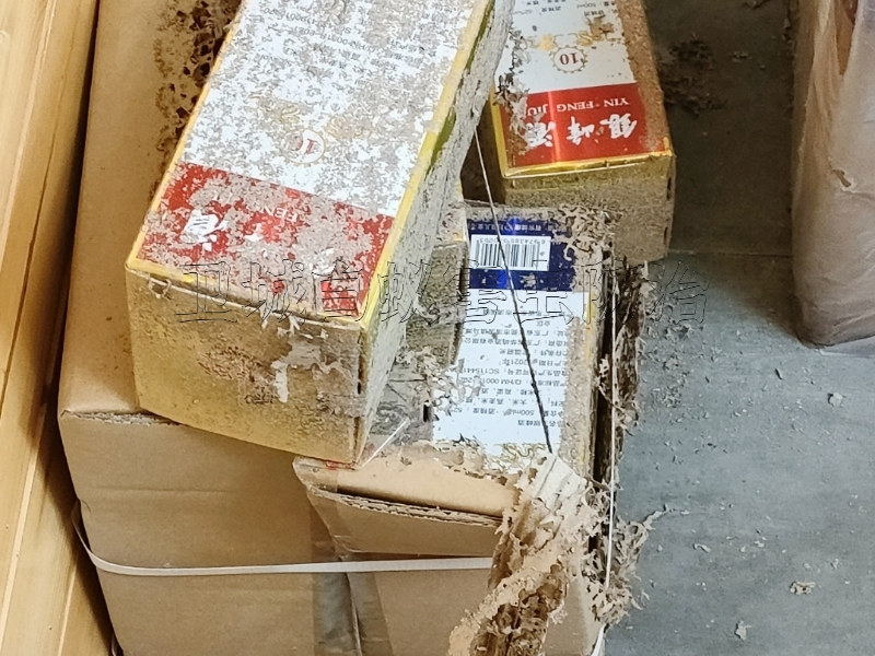 長寧白蟻防治,長寧滅白蟻公司服務質量好價格優