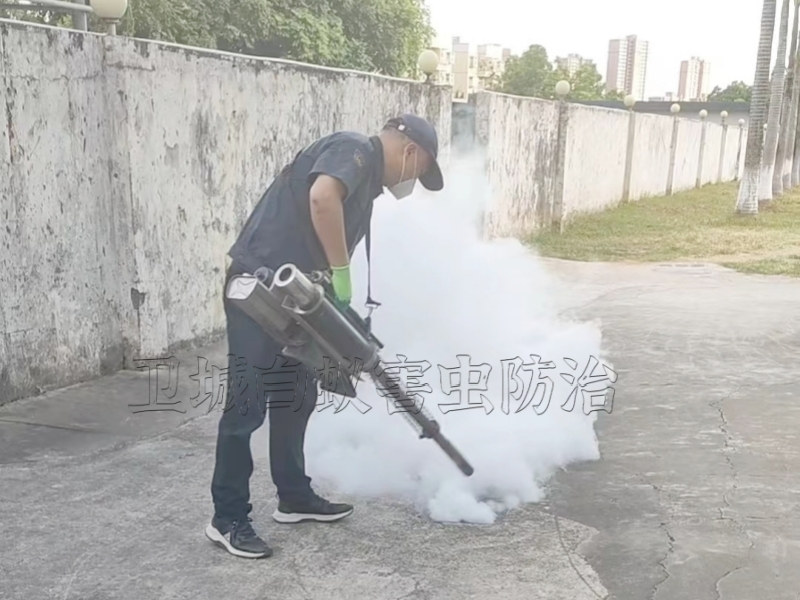 鳳崗滅臭蟲公司_東莞鳳崗臭蟲防治_清溪殺臭蟲跳蚤技術精湛