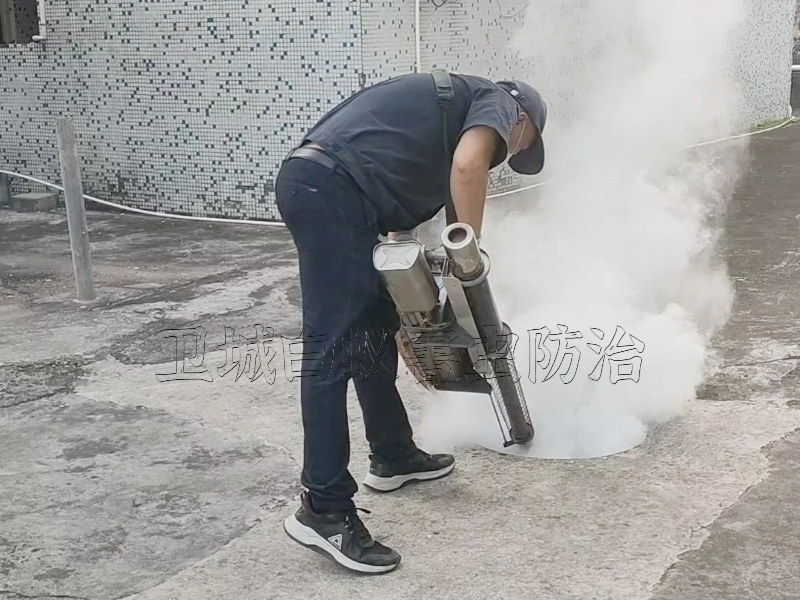 惠州鎮隆滅臭蟲一次見效_陳江殺臭蟲防治您的放心選擇