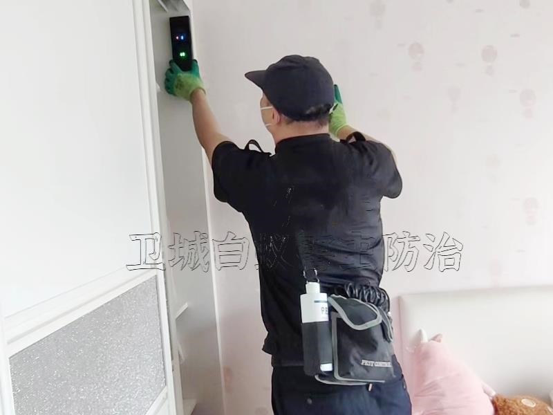 茶山白蟻防治中心，石龍滅白蟻公司經驗豐富一次見效