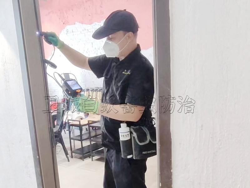 寮步白蟻防治中心,大嶺山白蟻防治滅除白蟻一對一全程跟蹤服務