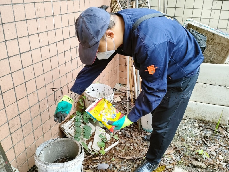 虎門殺臭蟲除蟲方法-東莞市衛城白蟻害蟲防治有限公司